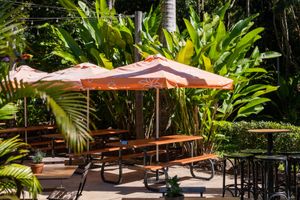 The Buderim Ginger Beer Garden  at The Ginger Kitchen in Yandina