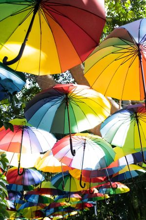 The Rainbrella Project:
Enjoy a coffee or Buderim Ginger Beer as you stroll under the canopy of colour at The Ginger Kitchen in Yandina