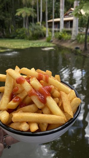 Best chips! Had them near the pond! The food is really good and the atmosphere is really nice! It’s free entry so you can come whenever you like to enjoy the gardens & rainforest at The Ginger Kitchen in Yandina
