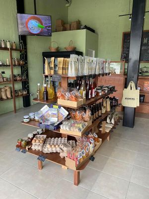 All products are made by local entrepreneurs  #Veganuary at #LOCAL Mercado Gourmet in Merida