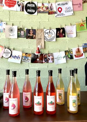 Great selection of artisanal products  #Veganuary at #LOCAL Mercado Gourmet in Merida