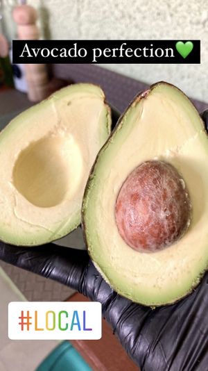   at #LOCAL Mercado Gourmet in Merida