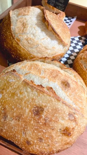 Gluten free sourdough / masa madre bread  at #LOCAL Mercado Gourmet in Merida
