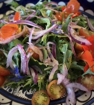 Delicious salad all organic grown from the garden   at Old Barn & Planted by Sai in Colintraive