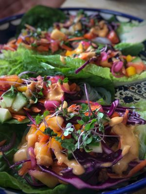  at Old Barn & Planted by Sai in Colintraive