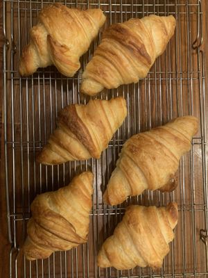   at Old Barn & Planted by Sai in Colintraive