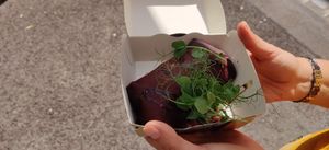  at Energetic Life  in Stuttgart