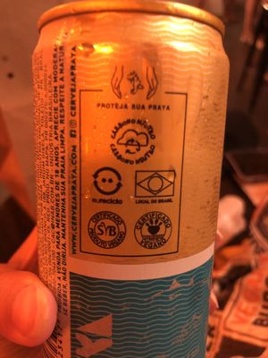 Praya vegana   at Vegan Ti Burguer  in Rio De Janeiro