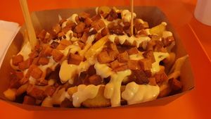 Fries with their special sauce and smoked tofu pieces   at Vegan Ti Burguer  in Rio De Janeiro