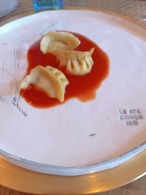 Gyoza at MOM Cucina Vegetale Creativa in Fano Adriano