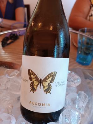 Vino at MOM Cucina Vegetale Creativa in Fano Adriano