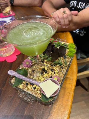  #Veganuary at Mezcal & Sal in Puerto Vallarta