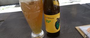 cerveza polaca at Pod Przykrywką in Wroclaw