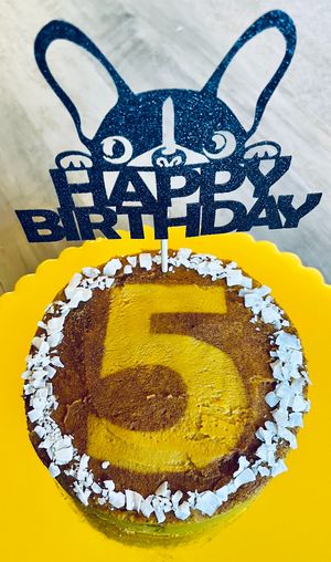 Custom Dog “Barkday” cake for a very spoiled pooch at Lularoo Cups and Pups in Stoughton