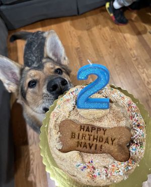   at Lularoo Cups and Pups in Stoughton