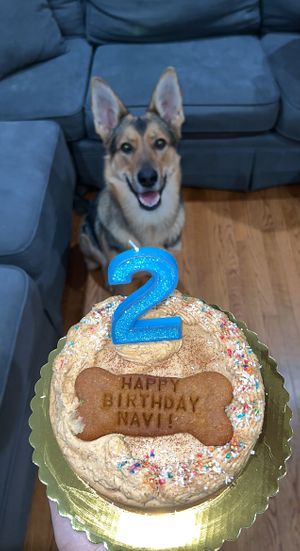   at Lularoo Cups and Pups in Stoughton