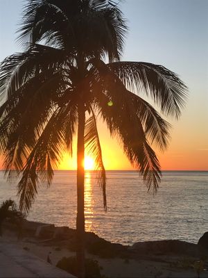 Their view!! at Buccanos in Cozumel
