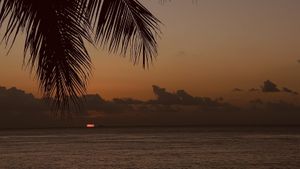   at Buccanos in Cozumel