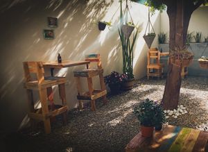 Backyard at Planeta Veggie in La Paz