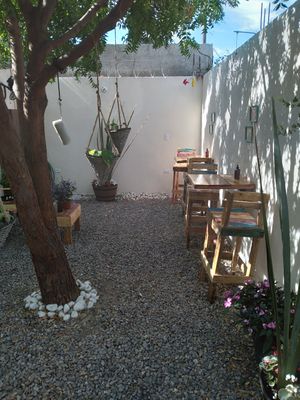  at Planeta Veggie in La Paz