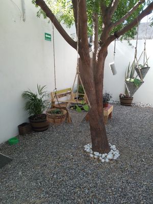  at Planeta Veggie in La Paz