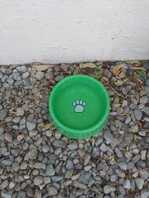  at Planeta Veggie in La Paz