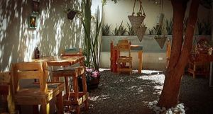  at Planeta Veggie in La Paz