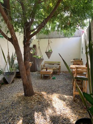   at Planeta Veggie in La Paz