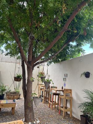 Outdoor seating   at Planeta Veggie in La Paz