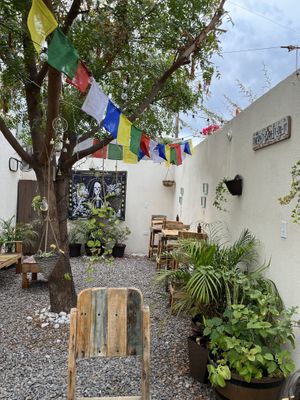   at Planeta Veggie in La Paz