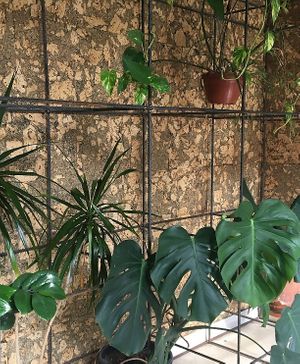  at Crucina Restaurante in Madrid