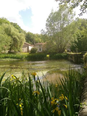 View of gite and outbuildings, taken from the island. at Moulin de la Cueille in Romagne