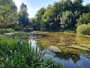  at Moulin de la Cueille in Romagne