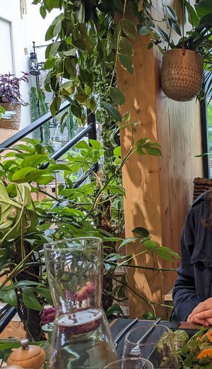  at La Végétalerie - concept store végétal in Saint-brieuc