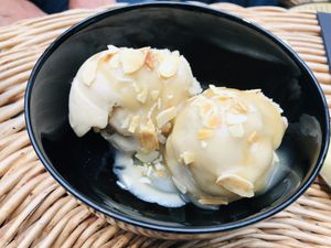   at La Végétalerie - concept store végétal in Saint-brieuc