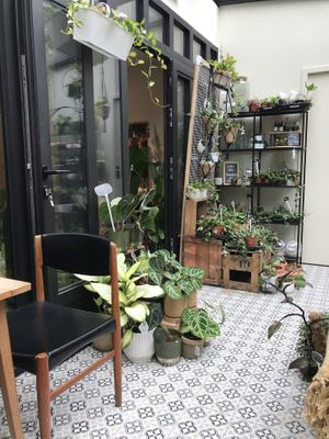   at La Végétalerie - concept store végétal in Saint-brieuc