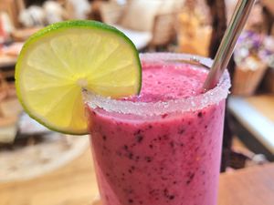  at La Végétalerie - concept store végétal in Saint-brieuc