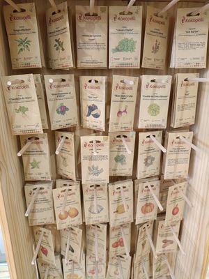  at La Végétalerie - concept store végétal in Saint-brieuc