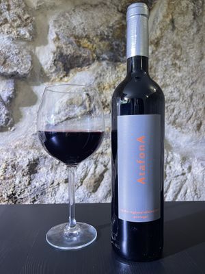 Red Wine 🍷 „Atafona“ Alentejano #Veganuary at Vegan Wine and Tapas by Markus in Porto