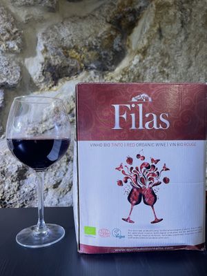 Red Wine 🍷 „Filas“ Quinta do Montalto #Veganuary at Vegan Wine and Tapas by Markus in Porto