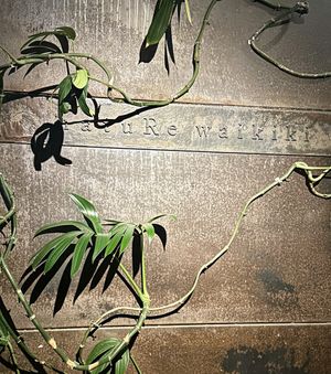   at natuRe waikiki in Honolulu