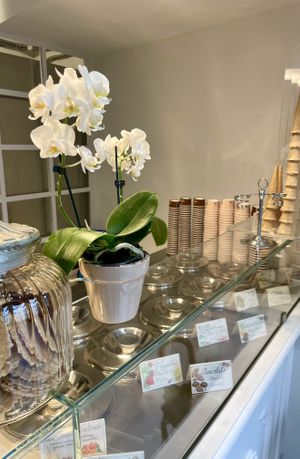   at Gelateria Della Passera in Florence