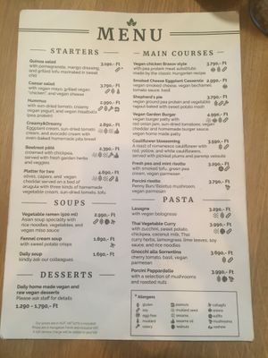 They also have pizza   at Vegan Garden Budapest in Budapest