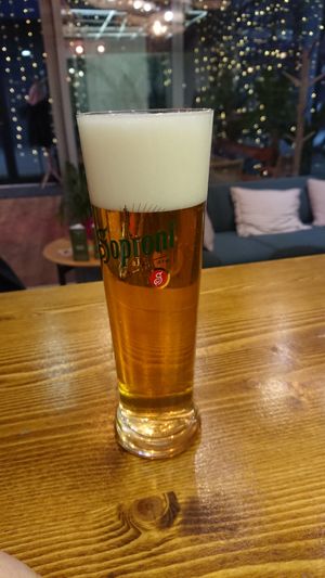 Vegan Garden Pils at Vegan Garden Budapest in Budapest