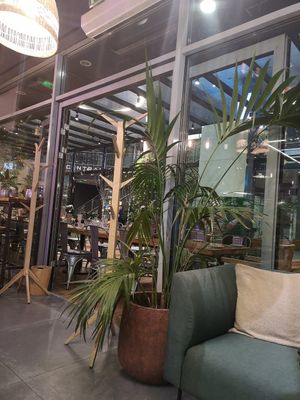  at Vegan Garden Budapest in Budapest