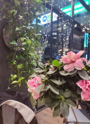  at Vegan Garden Budapest in Budapest