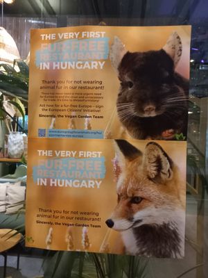  at Vegan Garden Budapest in Budapest