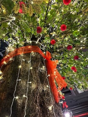  at Vegan Garden Budapest in Budapest