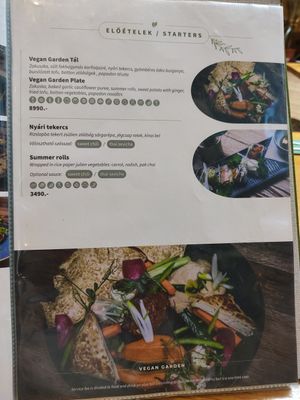 just one page of a pretty big menu at Vegan Garden Budapest in Budapest