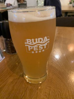 Een Hongaars IPA Biertje 9 %  at Vegan Garden Budapest in Budapest